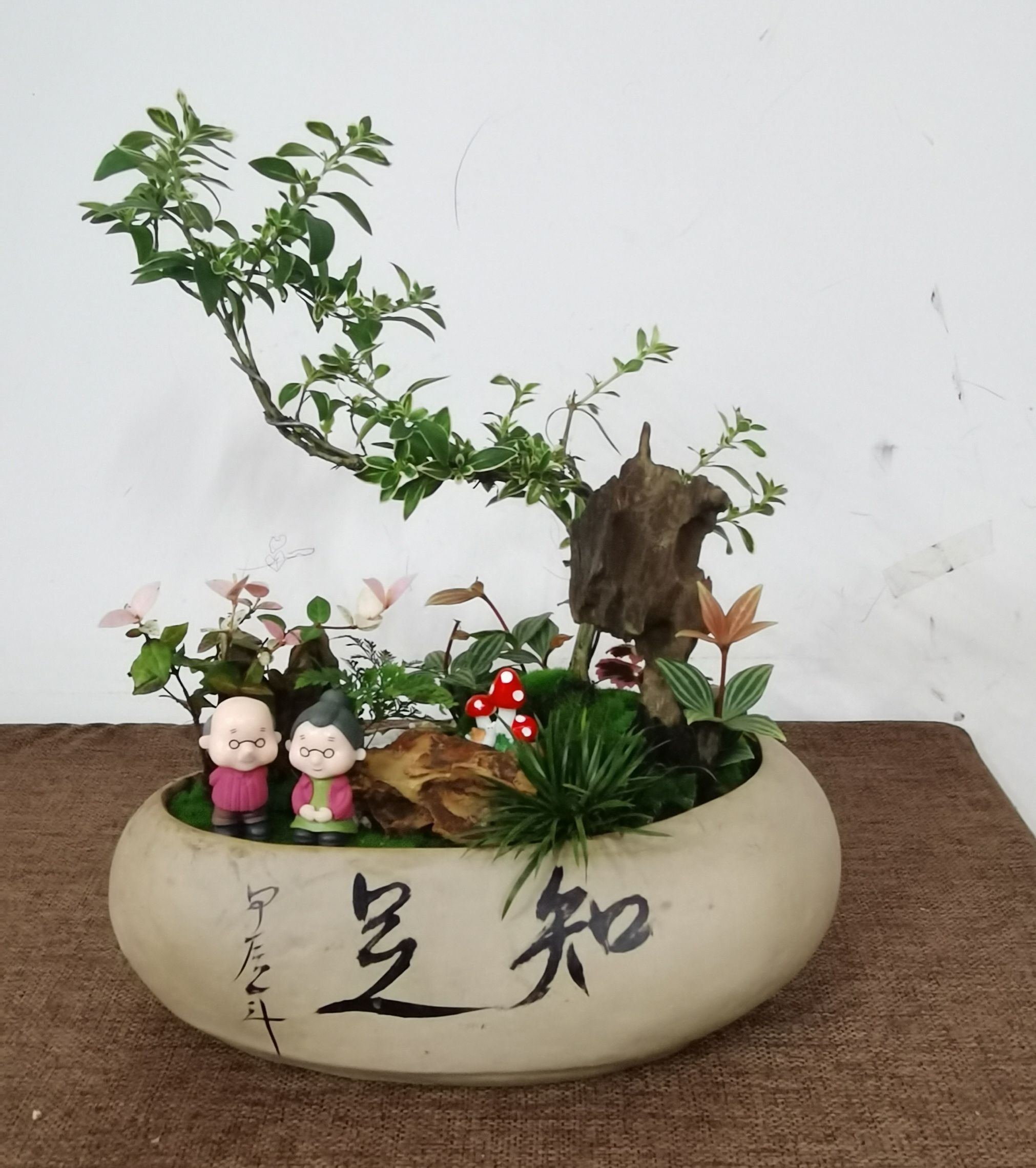 壹号娱乐
