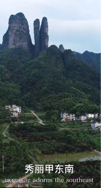 壹号娱乐