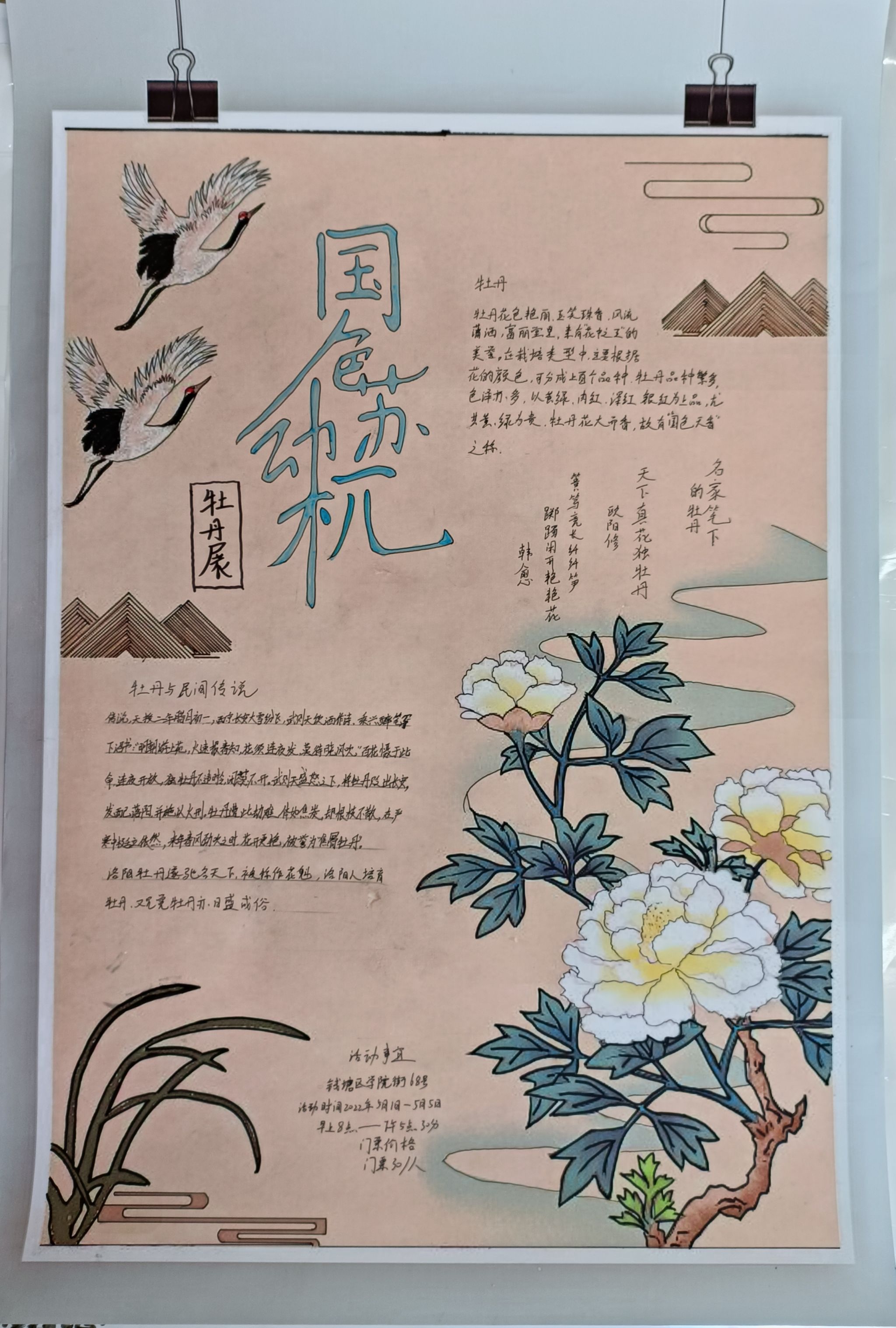 壹号娱乐