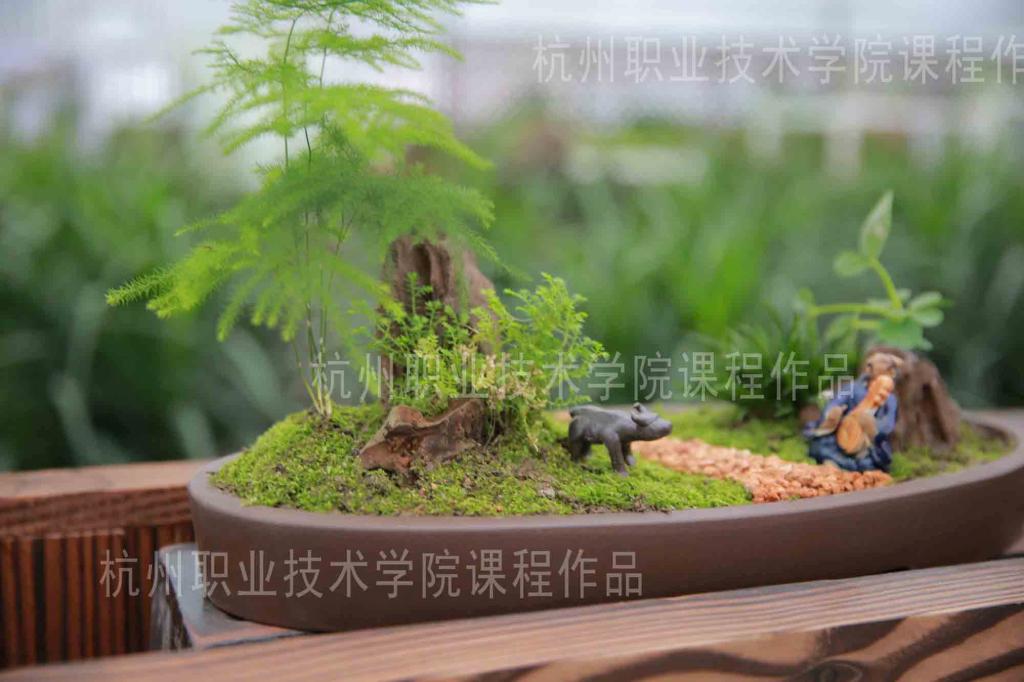 壹号娱乐