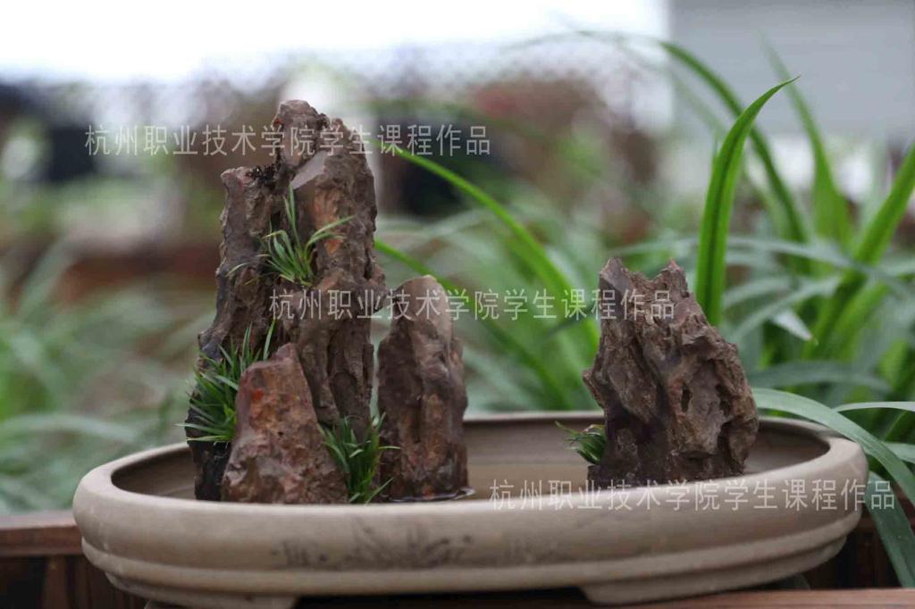 壹号娱乐